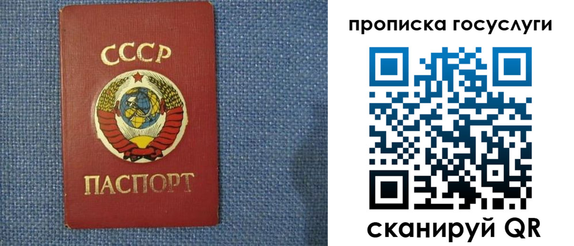 прописка ребенка в Всеволожске